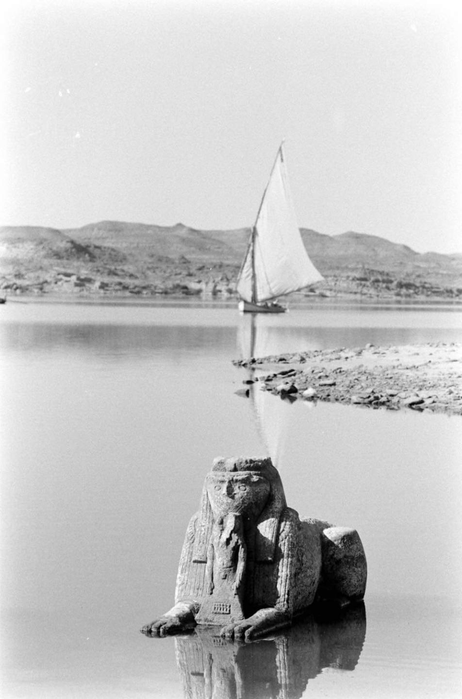 Erki Guest House Abu Simbel Eksteriør billede
