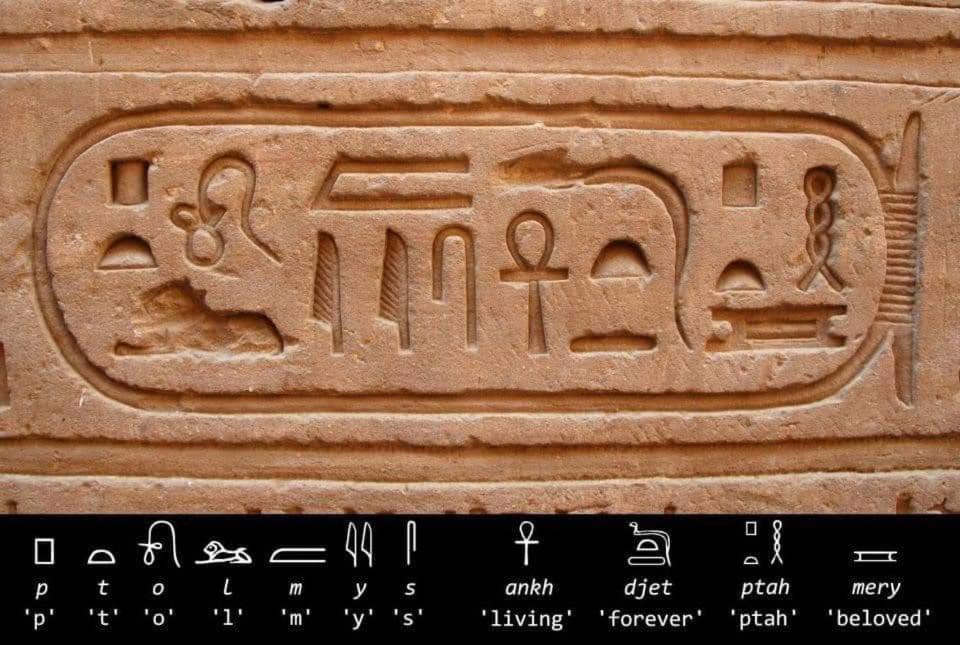 Erki Guest House Abu Simbel Eksteriør billede